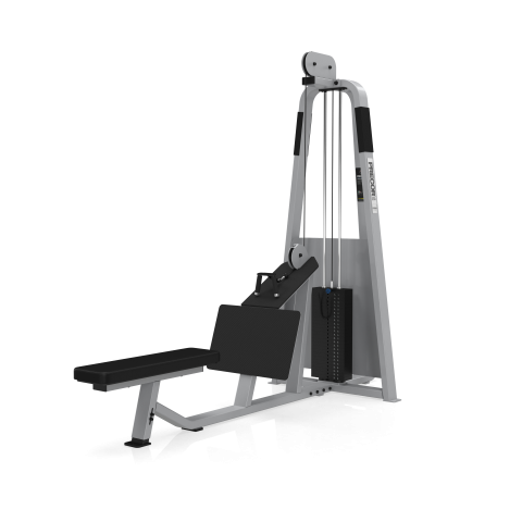 Ruderstation 302. Rückentrainer / Profi / Studiomodell von Precor.