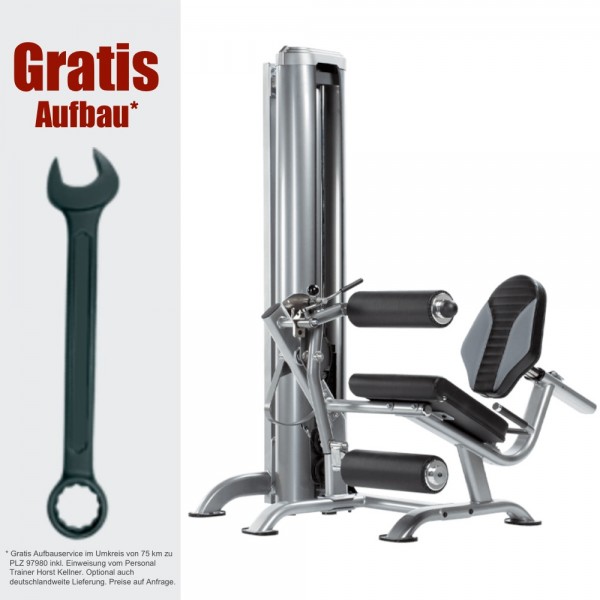 Apollo Curl Station AP-71LE inkl. Gratis Aufbau - Fitness Station