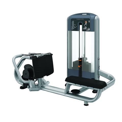 Studio Rudermaschine, dual. Precor Profi Ruder DSL0324