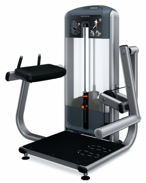 Glutaeusmaschine. Precor DSL0618. Profi / Studio Potrainer