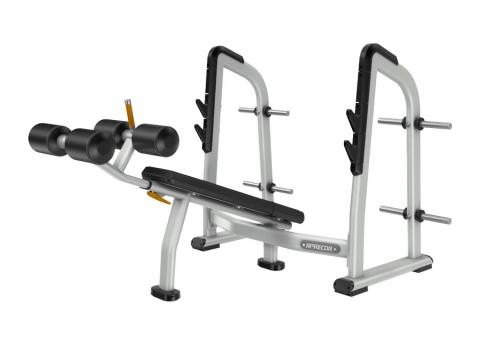 Olympia- Negativbank - Precor Profi / Studio / Professionelle Hantelbank DBR0411